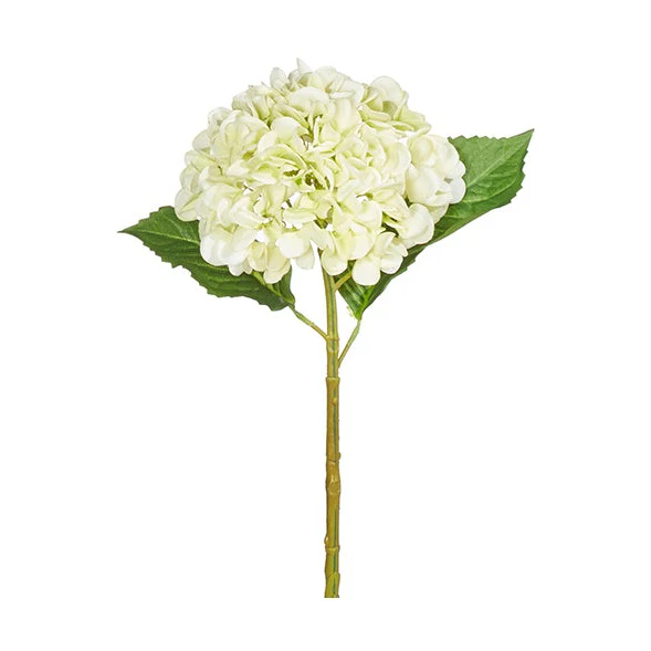 Lt Green Hydrangea Stem